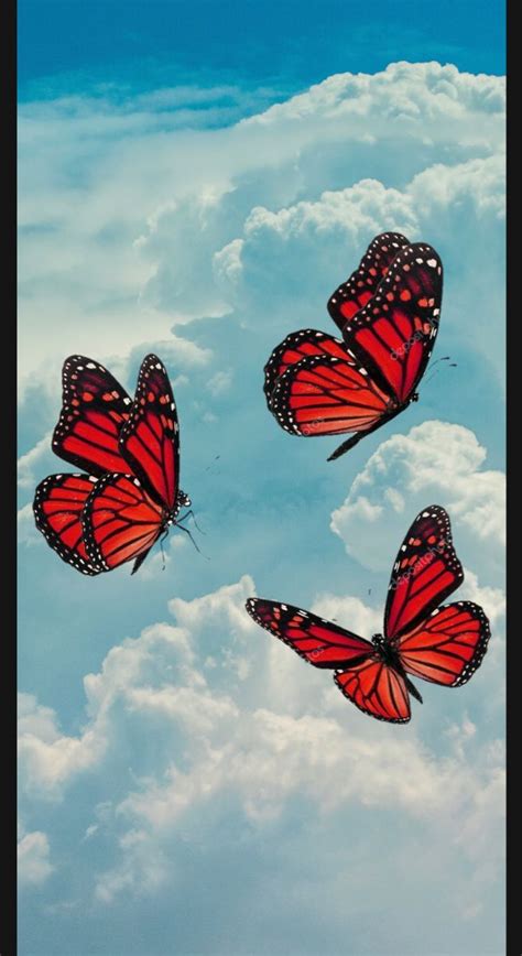 Cloud Butterfly Iphone Wallpaper Vintage Glitter Wallpaper