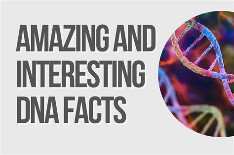 14 Amazing And Interesting Dna Facts