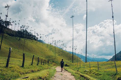 The Ultimate Hiking Guide To Valle Del Cocora Cocora Valley In 2024