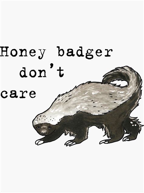 Honey Badger Dont Care Animal Series Animal Pun Art Prints With