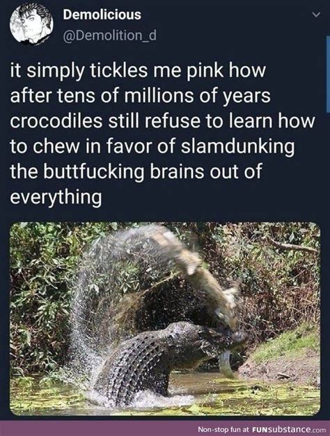 And Thats Why Crocs Are Awesome Stupid Funny Memes Funny Posts Funny