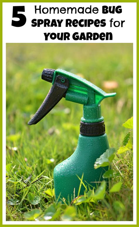 5 Homemade Bug Spray Recipes For Your Garden