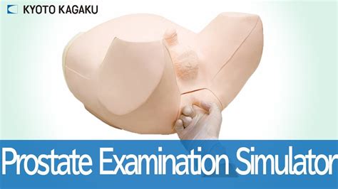 M53b Prostate Examination Simulator Youtube