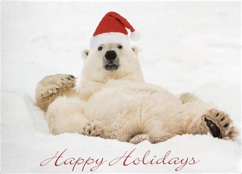 Free Download Christmas Polar Bear Wallpaper Winter Wonderland Polar