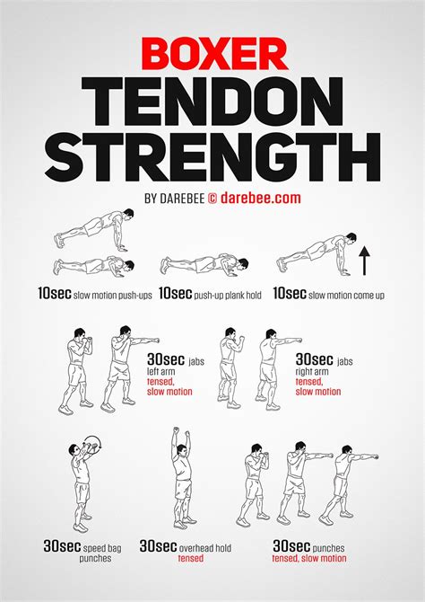 Boxer Tendon Strength Workout Strength Workout Boxer
