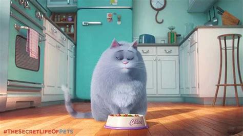Fat cats make us happy. The Secret Life Of Pets - Funny Pictures And Quotes