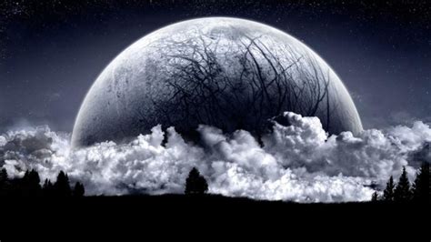 Digital Art Fantasy Art Moon Stars Trees Forest Clouds Clear Sky