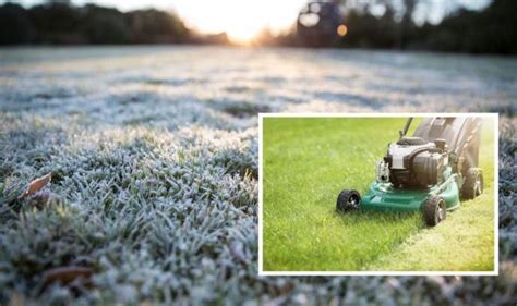 Grass Cutting ‘trick To Preparing Your Lawn For Winter And Frost
