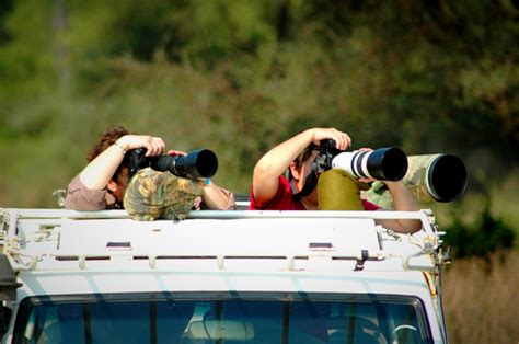Best Canon Lens For African Safari Top Picks For Capturing Wildlife In