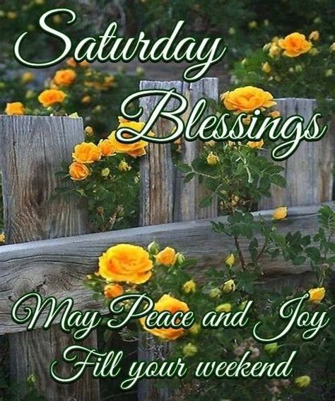 Good Morning Happy Saturday I Pray That You Have A Safe And Blessed
