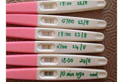 What The Faint Line On Your Ovulation Test Really Means Netmums