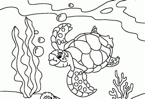 Sea Turtles Coloring Pages Coloring Home
