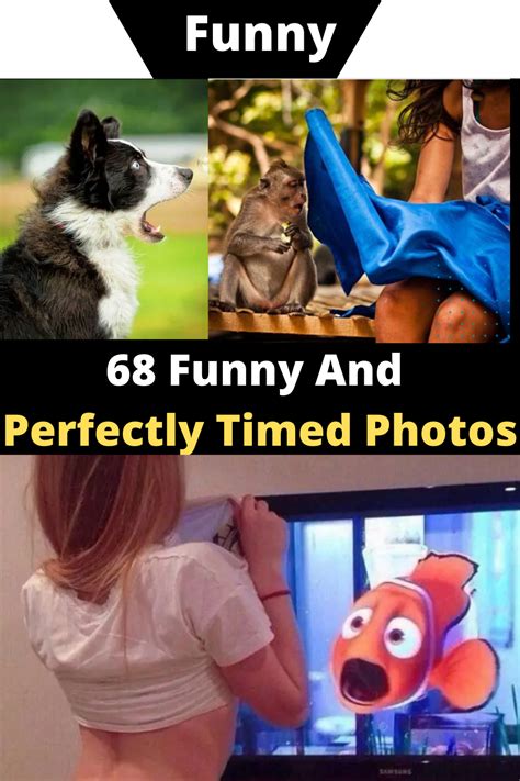 68 Hilarious And Perfectly Timed Photos In 2020 Really Funny Really