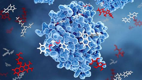 Nanoenzymes A New Step Forward In Cancer Treatment