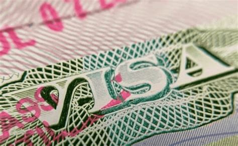¿cuál Es El Número De Visa Y Cómo Encontrarlo Fácil