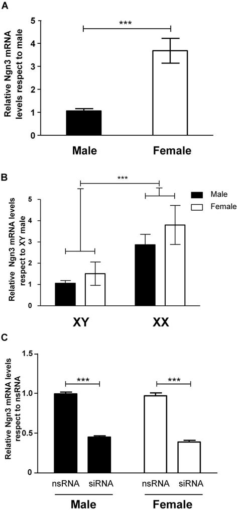 Frontiers Neurogenin 3 Mediates Sex Chromosome Effects On The