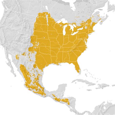 Eastern Bluebird Range Map Pre Breeding Migration Ebird Status And