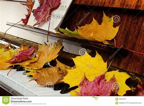 Maple Leaves On A Piano Stock Image Image Of Notes Grand 59263333