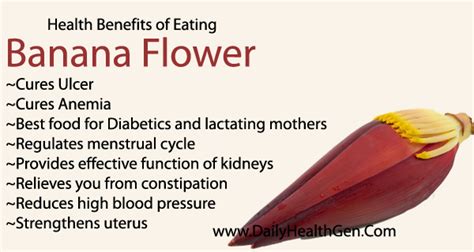 Amazing Health Benefits Of Eating Banana Flower Recipe