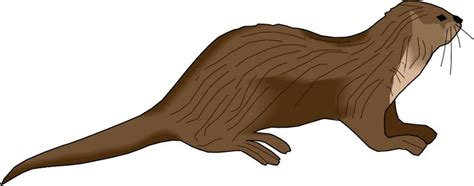 Sea Otter Clipart 20 Free Cliparts Download Images On Clipground 2024