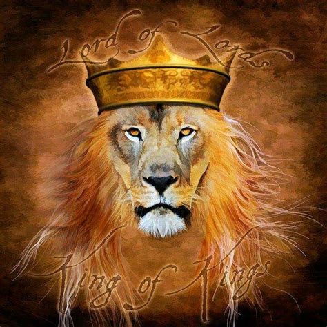 102 Best Lion Images On Pinterest Lion Lion Art And Lion Of Judah