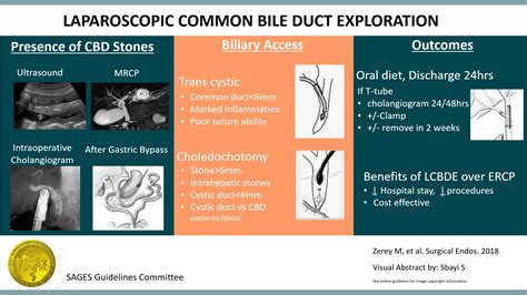 Clinical Spotlight Review Laparoscopic Common Bile Duct Exploration