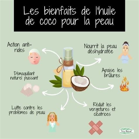 Utilisations De Lhuile De Coco Pour La Peau Rem De Pour Cheveux Hot