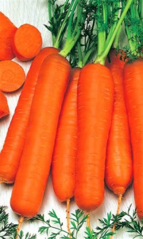 Carrot Seeds Long Red 2g Natural Farmers Etsy