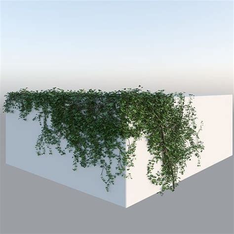 Realistic Climbing Ivy Corner Free 3d Model Cgtrader