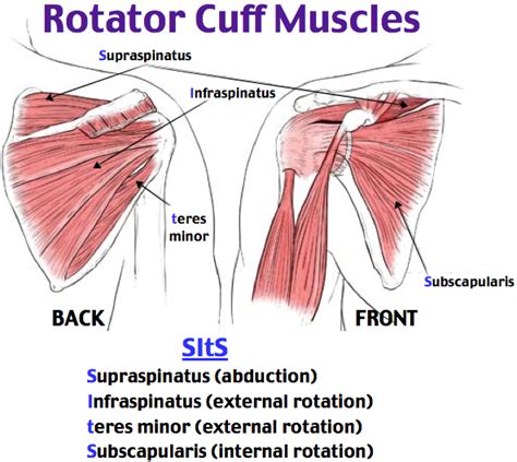 Rotator Cuff Tendonitis Dr Groh