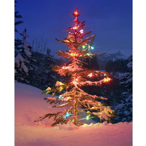 Lonely Christmas Tree Printed Backdrop Backdrop Express