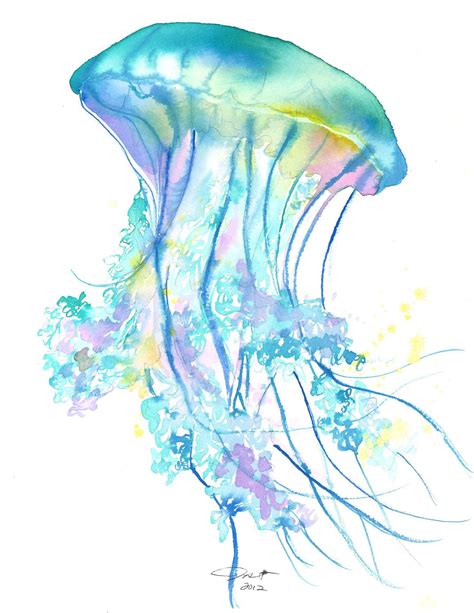 Original Watercolor Jellyfish Study No 4 Painting By Jessica Durrant