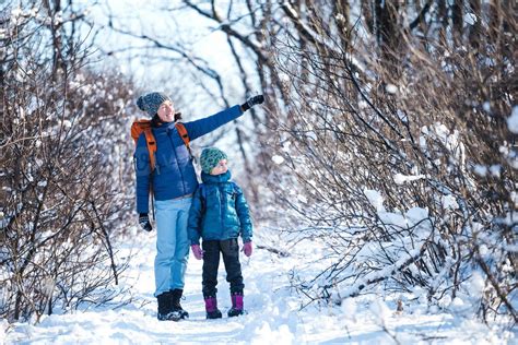 Woman With A Child On A Winter Hike In The Mountains 7139087 Stock