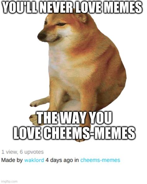 All The Upvotes Go To Cheems Imgflip