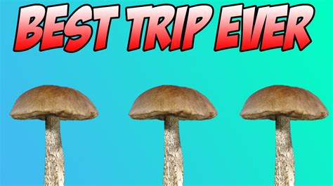 My Greatest Mushroom Trip Ever Youtube