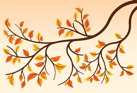 Autumn Tree Branch Cartoon Transparent Png And Svg Vector