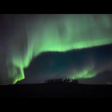 Northern Lights Were Spectacular Last Nite Damnthatsinteresting