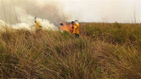Siguen Los Incendios En Corrientes Registraron 14 Focos Y El Fuego Avanza Sobre Los Esteros Del