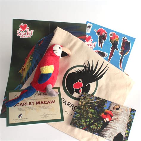 Scarlet Macaw International World Parrot Trust