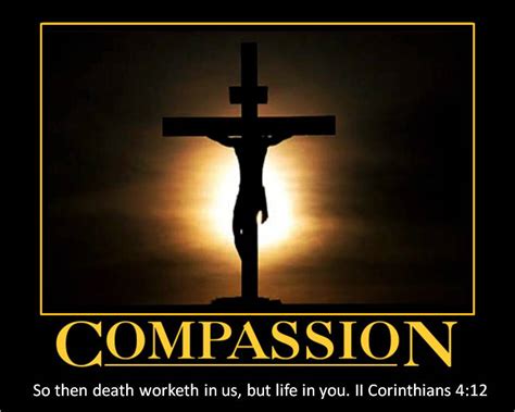 Compassion Quotes By Jesus Quotesgram