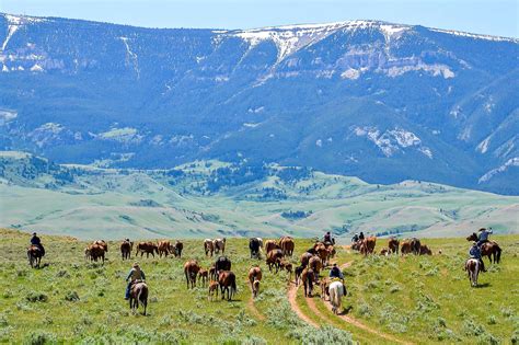 A Cheval Travailler Le Bétail Entre Wyoming Et Montana Cheval Daventure