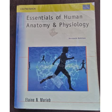 Essentials Of Human Anatomy And Physiology 7th Edition By Elaine N