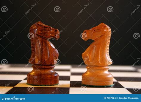 Chess Knights On Board Stock Photo Image Of Board Check 7357324