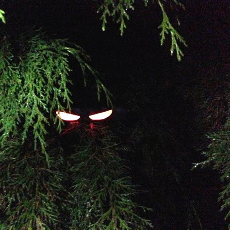 Eerie Glow Stick Halloween Eyes