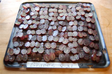 These were super sweet and i`d use a fraction of the amount of these compared to commercial raisins. Dehydrating Way Beyond Jerky: Homemade Raisins What Could ...