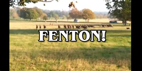 The Fenton Viral Video Filmdetail