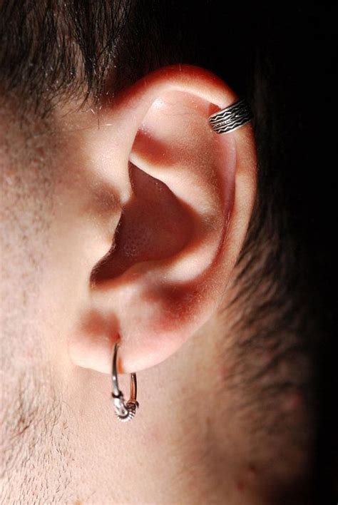 Pin By Grant Bemis On Tattoos Guys Ear Piercings Mens Piercings Earings Piercings