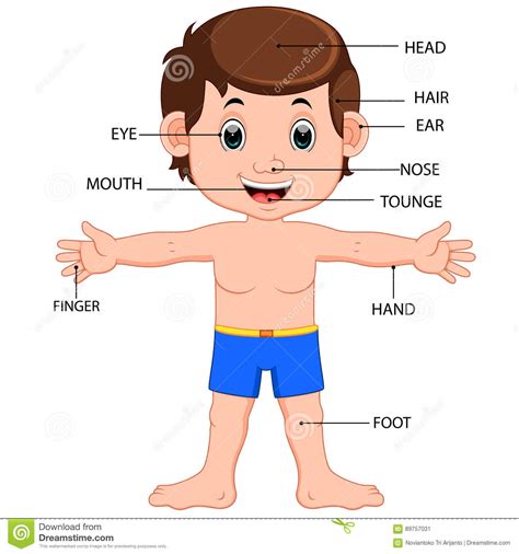 Scegli tra immagini premium su human body cartoon della migliore qualità. A Boy Showing Parts Of The Body Cartoon Vector ...