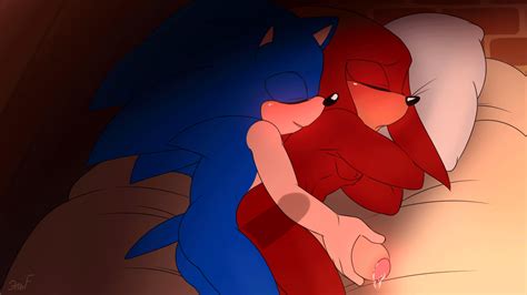 Knuckles The Echidna And Sonic The Hedgehog Sonic The Hedgehog Series And Etc Created By