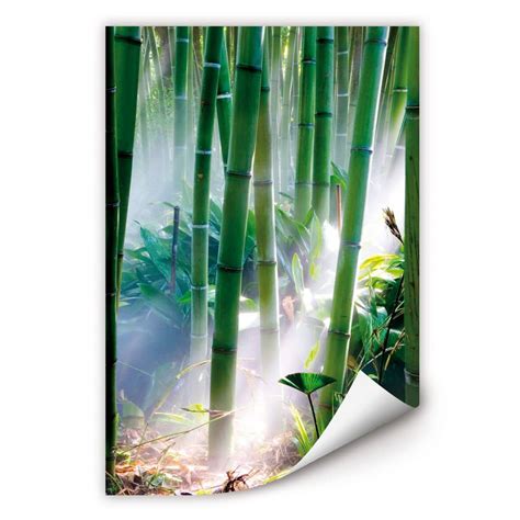 Wall Print Bamboo Forest Wall